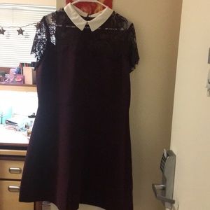 Plum Collared Dress